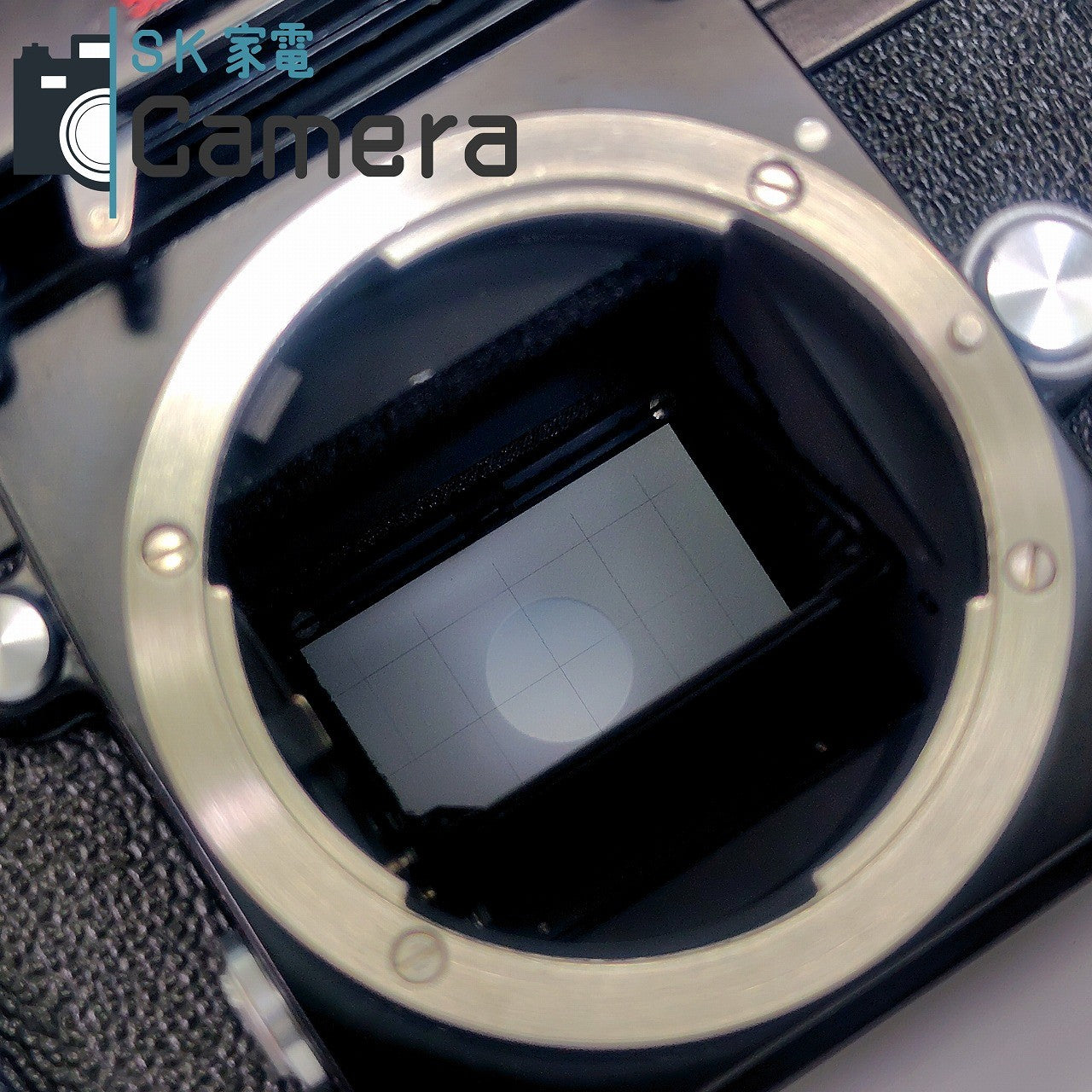 Nikon F フォトミック FTN BLACK 727万台 ニコン ブラック スクリーン E 方眼 良品 モルトOK