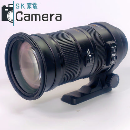 【中古】 SIGMA DG 50-500ｍｍ F4.5-6.3 APO HSM OS キャノン用 フード付き シグマ 良