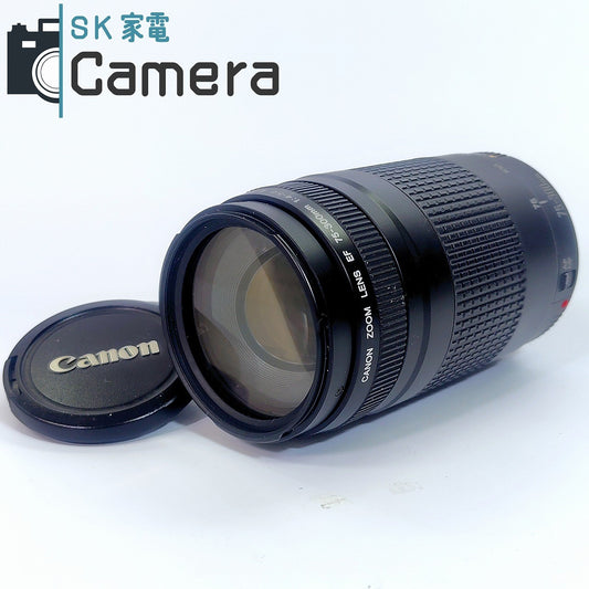 【中古】 Canon EF 75-300ｍｍ F4-5.6 II キャノン キャップ 付   #22