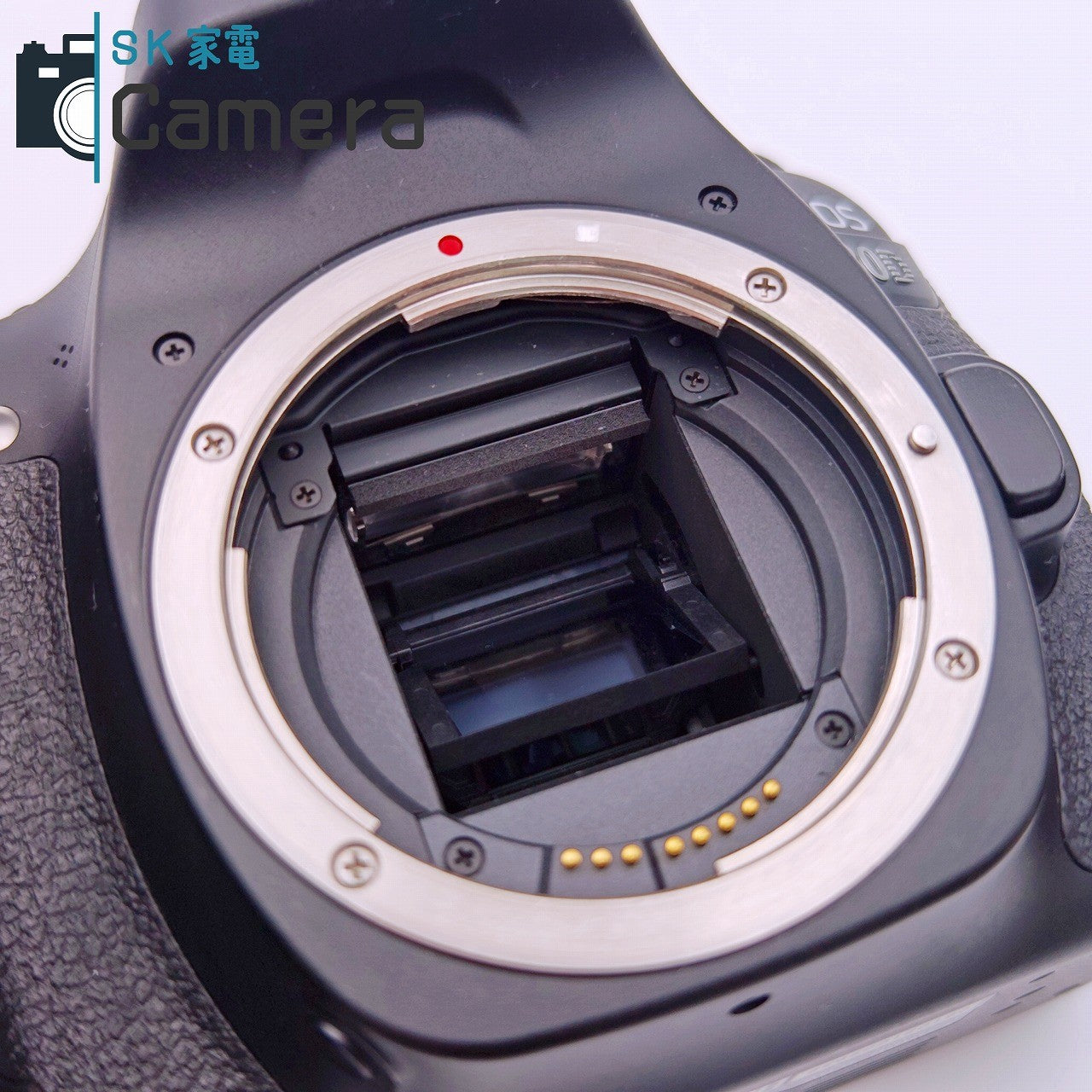 【中古】 Canon EOS 80D キャノン 電池 充電器 ストラップ付 美品