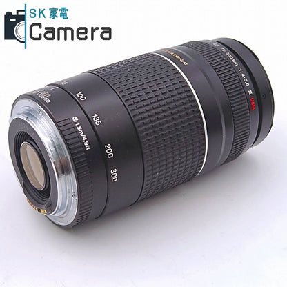 Canon EF 75-300ｍｍ F4-5.6 III USM キャノン キャップ付